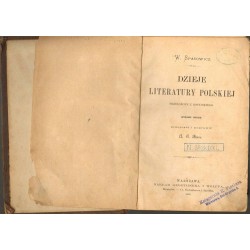 DZIEJE LITERATURY POLSKIEJ - SPASOWICZ 1885 - Unikat Antykwariat i Księgarnia